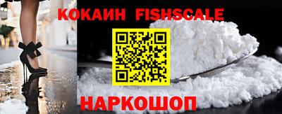 шишки Тара