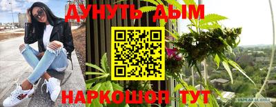 шишки Тара