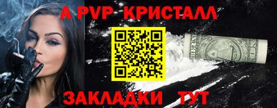 шишки Тара