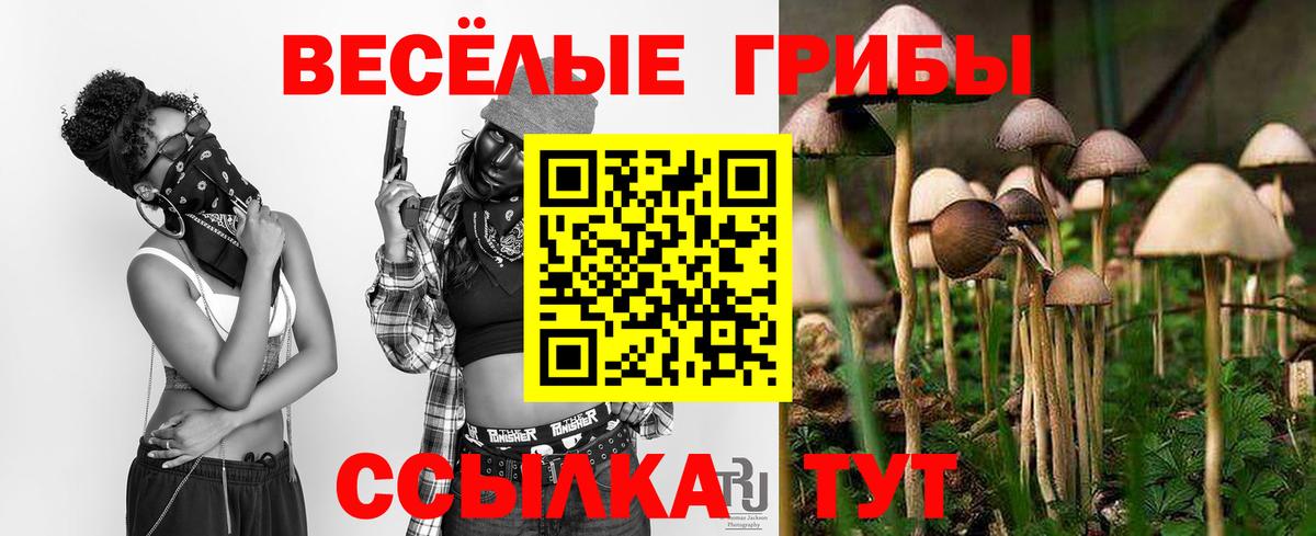 Галлюциногенные грибы мухоморы Бийск