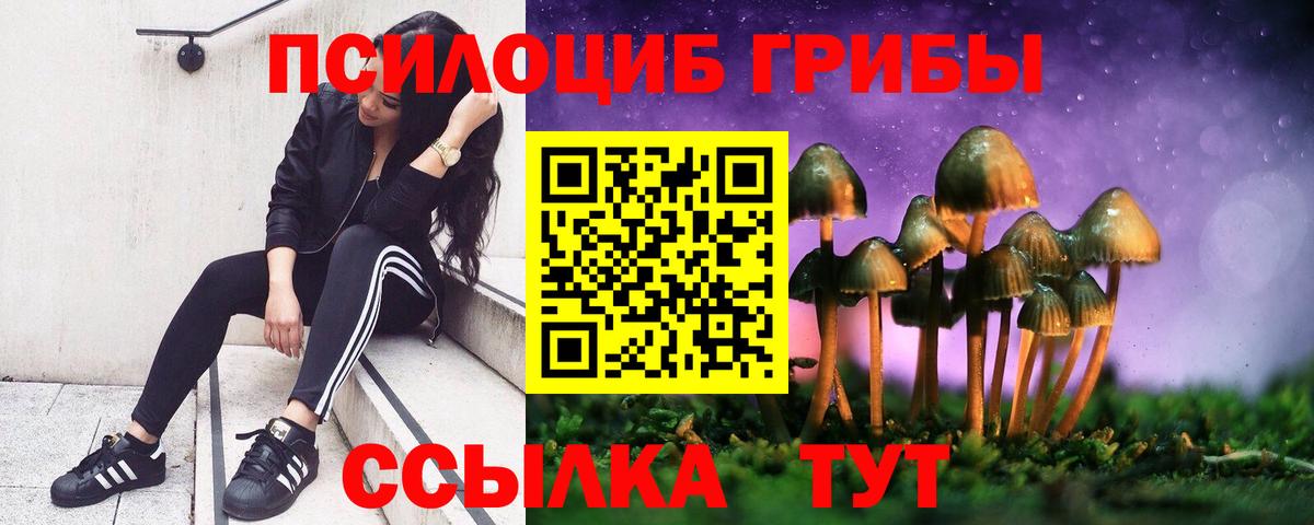Бийск  сколько стоит  Галлюциногенные грибы мицелий  Вход с VPN  Галлюциногенные грибы Psilocybe 